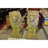 A pair of weathered terracotta rampant lions height 2'5".
