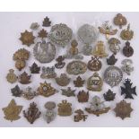 A Collection of military cap badges.