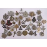 A Collection of military cap badges.