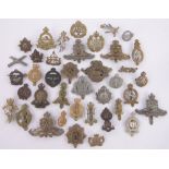 A Collection of military cap badges.