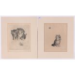 Meta Glucksbaum, pair of coloured etchings, kittens, both signed in pencil, p 10" x 8", mounted.