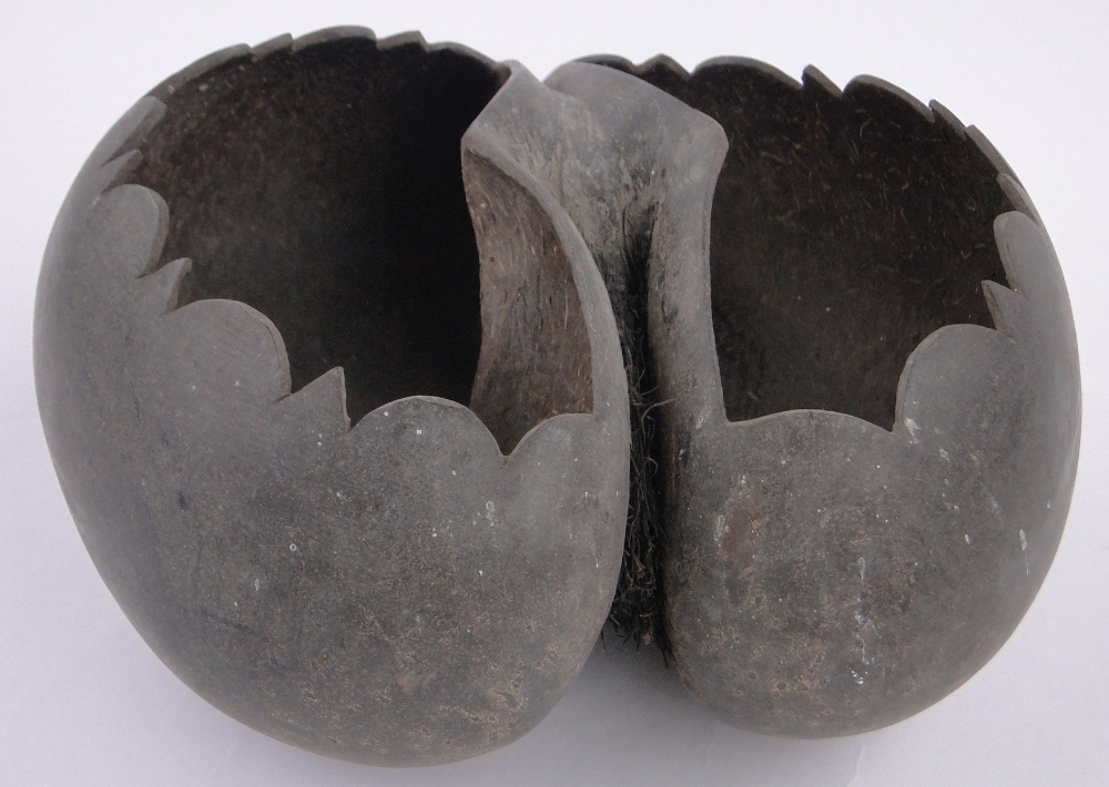 A coco-de-mer nut fruit bowl, early 20th century, with shaped rim, length 30cm. - Image 2 of 3