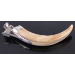 A continental silver mounted Warthog tusk cigar cutter, marked 925s, length 16cm.