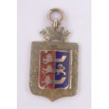 An Edwardian 9ct gold and coloured enamel medallion fob, the cover enclosing a hair panel,