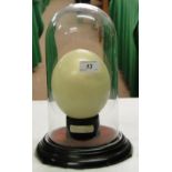 An Ostrich egg under glass dome on plinth.