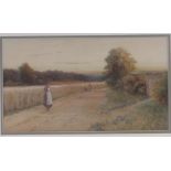 George Oyston (1860-1937), Watercolour, a country lane, signed, 9" x 15.