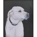 Clive Fredriksson, Oil on canvas portrait of a dog, signed,