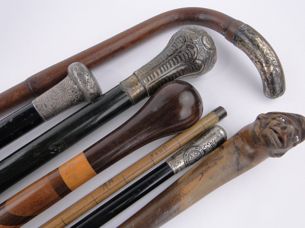 Bundle of silver topped and other walking sticks, (7). - Image 3 of 3