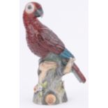 A Potschappel German porcelain Macaw,