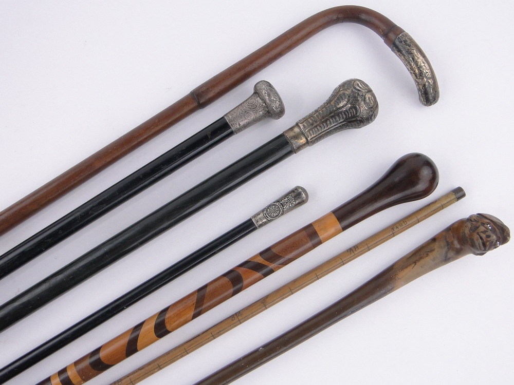 Bundle of silver topped and other walking sticks, (7).