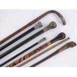 Bundle of silver topped and other walking sticks, (7).