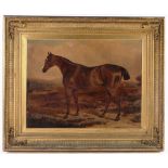 19th century English School, oil on canvas, portrait of a chestnut horse in a landscape, unsigned,