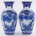 Pair of Chinese blue and white porcelain vases, painted birds and flowers, height 40cm.