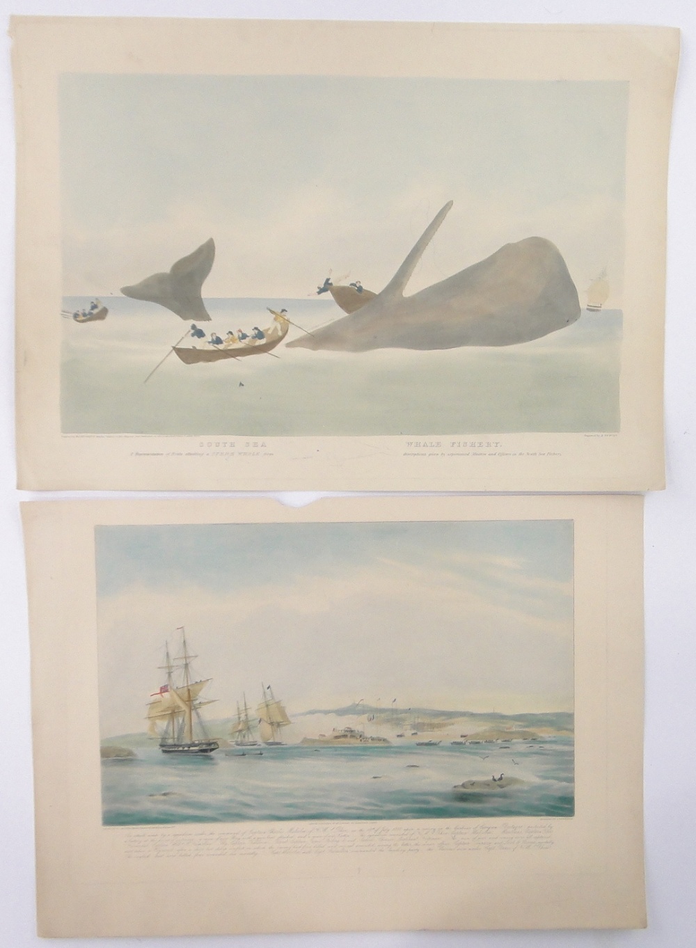 After William Huggins (1820-1884), hand coloured aquatint, South Seas Whale Fishery,