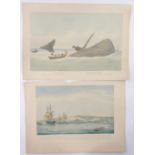 After William Huggins (1820-1884), hand coloured aquatint, South Seas Whale Fishery,