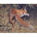 Malcolm Coward SEA (born 1949), oil on board, fox on the move, signed, 8" x 9.5", framed.