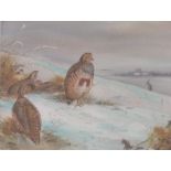 Manner of G E Lodge, watercolour, birds on a snowy moor, signed, 11" x 15", framed.