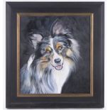 Clive Fredriksson, oil on canvas, portrait of a sheep dog, 21" x 19", framed.
