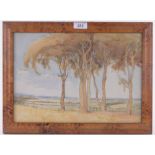 Australian School, watercolour, gum trees in landscape, signed with initials E V S, dated '23,