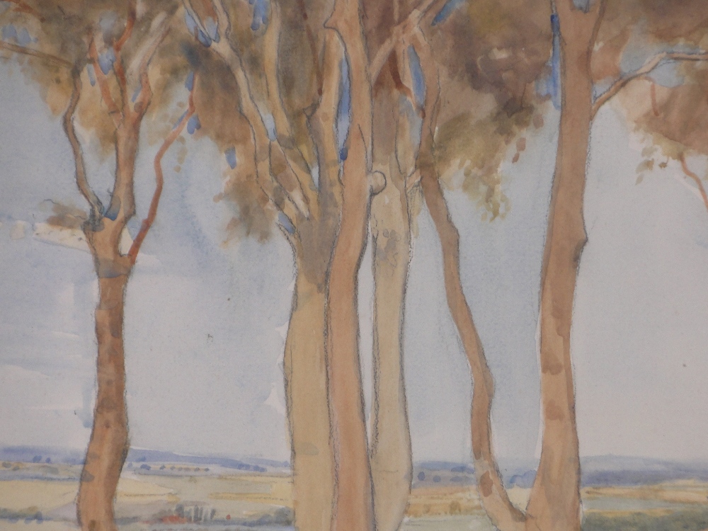 Australian School, watercolour, gum trees in landscape, signed with initials E V S, dated '23, - Image 2 of 4
