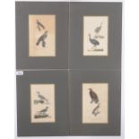 A set of 4 19th century hand coloured ornithological engravings, 8" x 5", mounted.