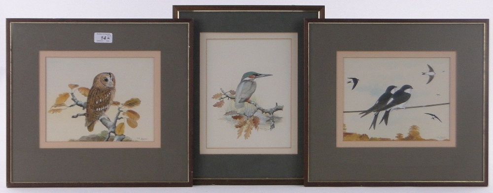 Peter Hayman (born 1930), 3 watercolour/gouache paintings, bird studies, signed, 7" x 9", framed.