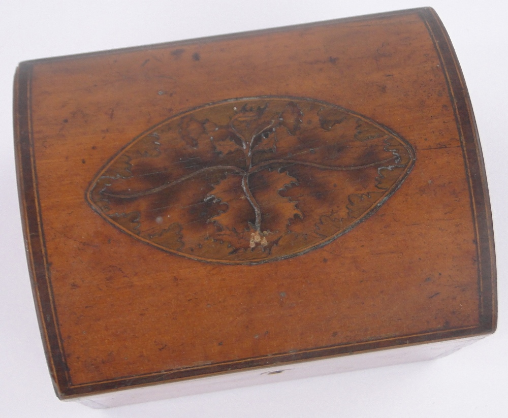 A 19th century satinwood dome top caddy, with inlaid leaf decorated marquetry panel, length 12cm, - Image 2 of 3