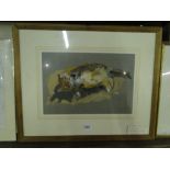 Caroline Duckworth-King, oil on paper, cat study, signed, 10" x 14.5", framed.