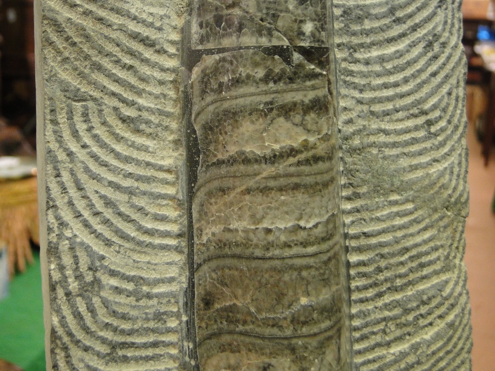 A 495 million years old large ortmoceras fossil. - Image 2 of 2