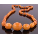 A long string of large graduated butterscotch amber beads, largest bead 34mm x 29mm, 49 beads total,