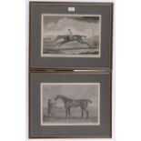 R Houston after F Sartorius, pair of 18th century engravings, studies of race horses,