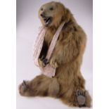 An early 20th century taxidermic Grizzly bear cub, height 105cm.