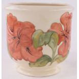 A large Moorcroft pottery "Anemone" pattern jardiniere, diameter 23cm, height 22cm.