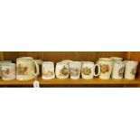 A shelf of Royal Commemorative mugs and beakers including 1953, and Victoria's Diamond Jubilee.