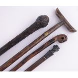 A Victorian dried sprout shaft walking stick,