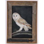 Clive Fredriksson, oil on board, owl, signed, 22" x 14", framed.