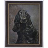 Shortman, oil on board, spaniel, indistinctly signed, dated 1948, 14.5" x 11", framed.