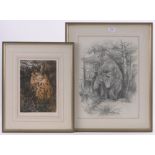 Timothy Greenwood, pencil drawing, grizzly bear, signed, 18" x 13" and coloured etching, owl,