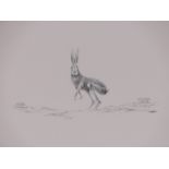 Pencil drawing, hare, signed with monogram, 17.5" x 21", framed.