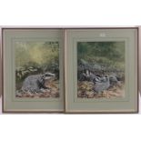 David Parry (born 1942), pair of watercolours, badgers, signed, 18" x 14", framed.