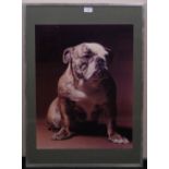 Adrian Flowers (1926-2016), photograph, Bulldog, signed on the mount, image 23" x 18", framed.