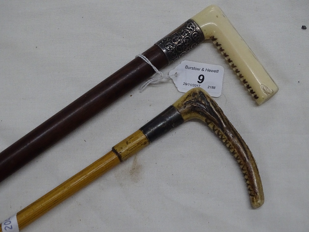 Horn handled riding crop and an ivory handled walking cane