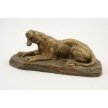 Louis-Albert Carvin (1860-1951), Recumbent tiger, polished bronze, signed,