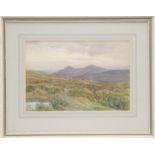 Attributed to Bernard Walter Evans (1843-1932), Dartmoor, watercolour, unsigned, 24cm x 36cm,