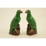 Pair of Chinese figures of parrots, Kangxi (1662-1722), with biscuit beaks with traces of red,