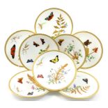 Eleven Royal Worcester lepidoptery dessert plates, circa 1870-90,