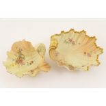 Royal Worcester peach ground scalloped dish, circa 1894, decorated with wild flower sprays,