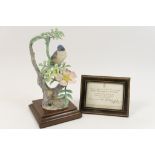 Royal Worcester model of a lesser whitethroat and wild rose, circa 1964, limited edition,