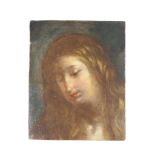 After Raphael, Mary Magdalene, fragmentary oil painting, 17th Century, oil on canvas,