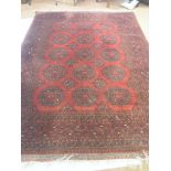 An Afghan wool rug, geometric designs predominantly in red and black, 6ft. 10in. x 8ft. 10in.